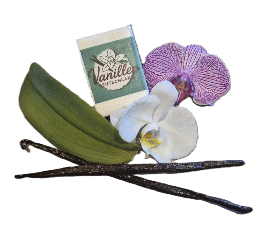 deko banner deko banner