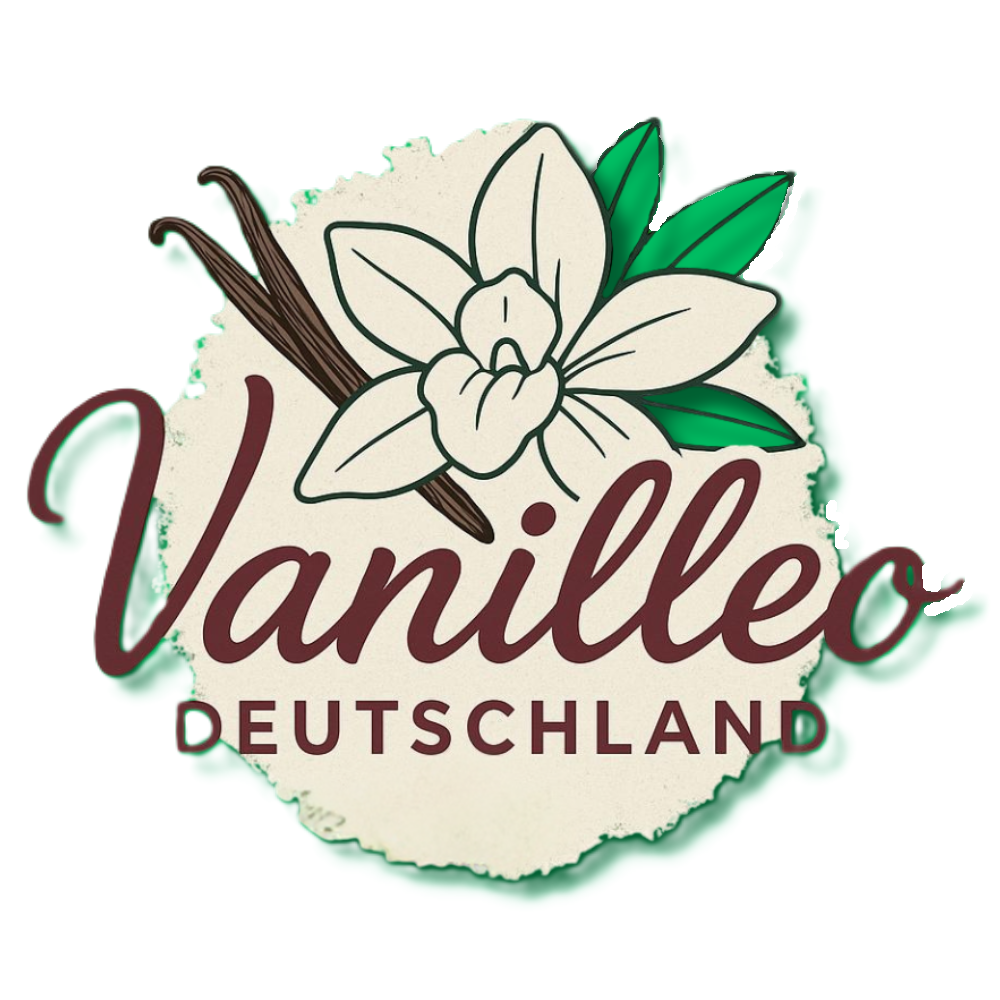 vanilleo logo ausgeschnitten